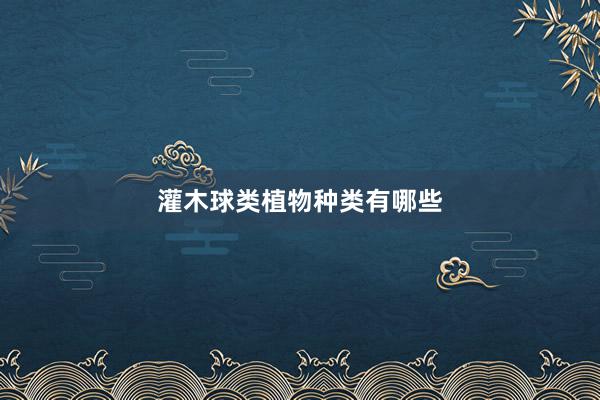 灌木球类植物种类有哪些