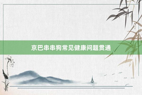 京巴串串狗常见健康问题贯通