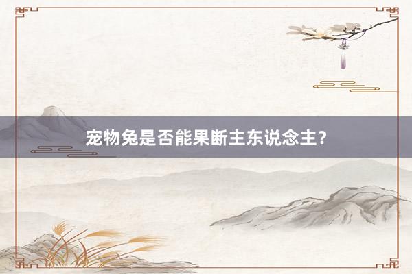 宠物兔是否能果断主东说念主?