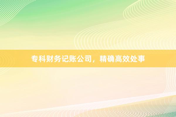 专科财务记账公司，精确高效处事