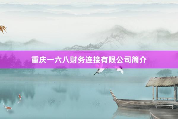 重庆一六八财务连接有限公司简介
